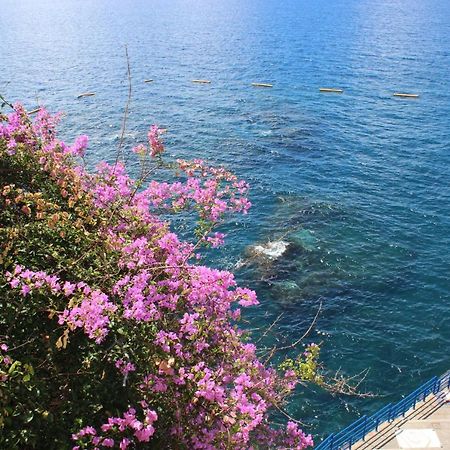 Apartments Madeira Old Town Funchal Dış mekan fotoğraf