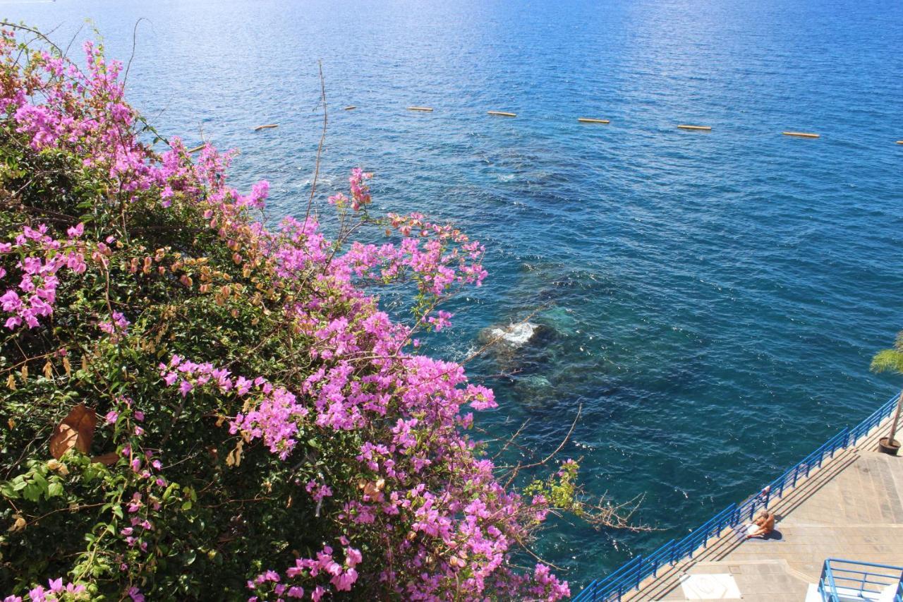 Apartments Madeira Old Town Funchal Dış mekan fotoğraf